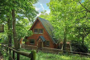 Lodge 68 - Fern Gully