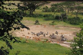 Saruni Eagle View