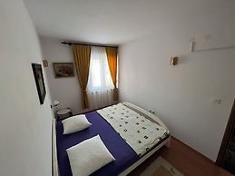 Apartment Rosa 1