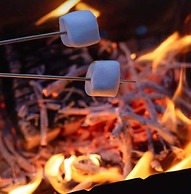 Dragon's Den Glamping Retreat
