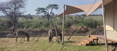 Pumba Luxury Camps