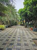 Star Resort