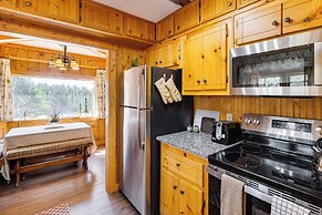 Pike National Forest Access: Secluded Divide Cabin