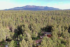 Pike National Forest Access: Secluded Divide Cabin