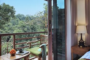 Alamora Healing Escape