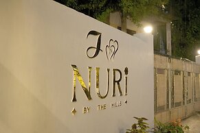 Nuri's Nest and Notch