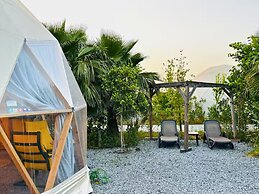 In Out Resort Glamping