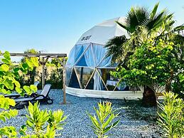 In Out Resort Glamping