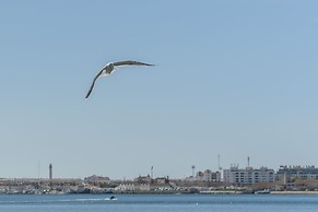 Ayamonte Central: Your Urban Oasis