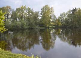 Mobile Home in Loire With Pool