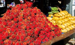 Vida Homes Condo Resort