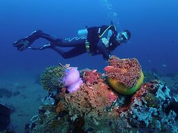 Vida Homes Condo Resort