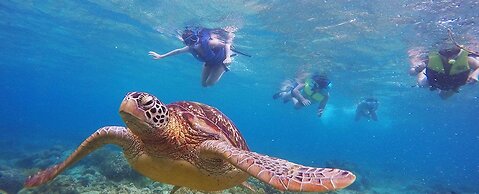 Vida Homes Condo Resort