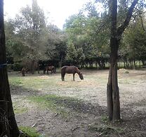 Garitsa bay Apartment