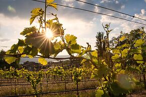 Quidni Estate Winery