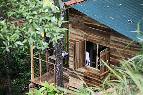 Ella Eco Lodge
