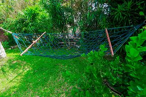 Palitha Guesthouse Hotel Dandelion 