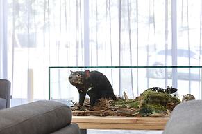 BIG4 Launceston Holiday Park