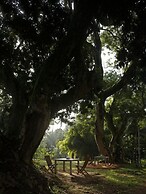Comilla Bungalow