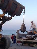 Hualien Seaside Ocean B&B