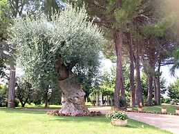 Agriturismo La Stornara