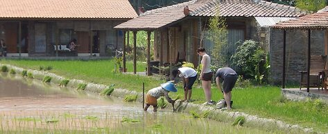 Alamanda Family Villas & Pool