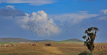 Herdade dos Castelejos