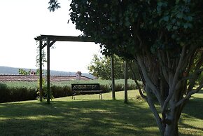 Quinta do Paço D'Anha