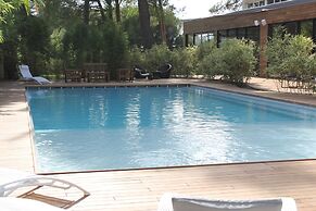 C Suites