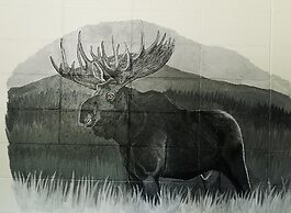 Overlook Inn & Cabins