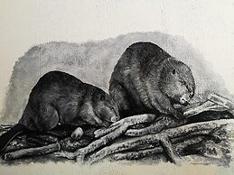 Overlook Inn & Cabins