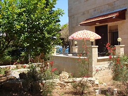 Tamer guest house