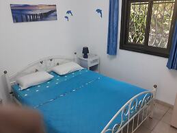 Tamer guest house