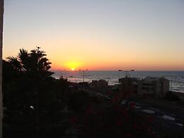 Tamer guest house