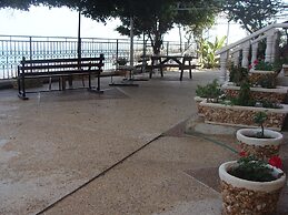 Tamer guest house