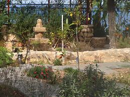 Tamer guest house