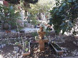 Tamer guest house