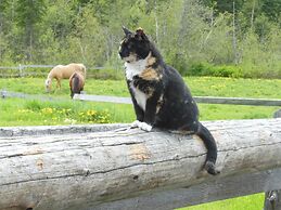 Fort Wells Gray Rustic Cabins Hostel