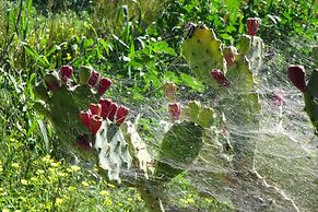 Agriturismo Baglio Vecchio