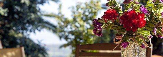 Agriturismo Baglio Vecchio