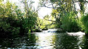Hornsjø Høyfjellshotell