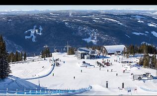 Hornsjø Høyfjellshotell