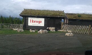Hornsjø Høyfjellshotell