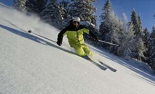 Hornsjø Høyfjellshotell