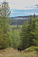 Hornsjø Høyfjellshotell