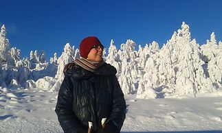 Hornsjø Høyfjellshotell