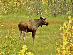 Hornsjø Høyfjellshotell