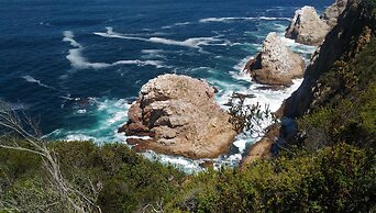 Lily Pond Country Lodge