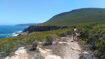 Lily Pond Country Lodge