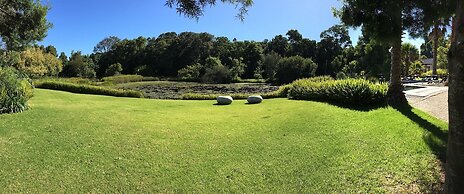 Lily Pond Country Lodge